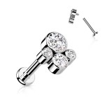 Piercing do brady / ucha TITAN (1,2 x 6 mm)