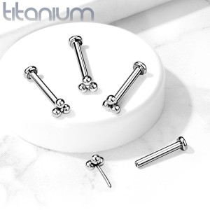 Piercing do brady - labreta titan