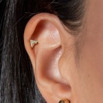 Labreta / cartilage piercing - šipka (1,2 x 6 mm)