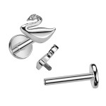 Piercing do brady - labreta TITAN, 1,2 x 8 mm